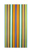 Rideau de porte Antilles en polyéthylène - 90x220 cm - multicolore - Morel