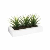 Plante Artificielle Aloe Vera H17cm - Blanc - SILUMEN