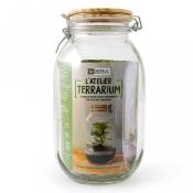 Radis Et Capucine - Terrarium à assembler soi-même avec graines d'asparagus à semer