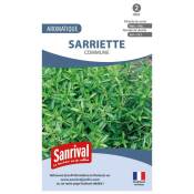 Sanrival - Graines sarriette commune
