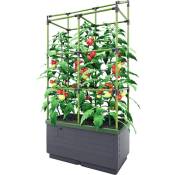 Choyclit - Potager sur pied,City Jungle, 34 litres elle offre 0,25 mettre quarre d'espace pour les légumes, des herbes aromatiques et des fleurs