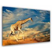 Hxadeco - Tableau photo girafe dans le sable - 80x50