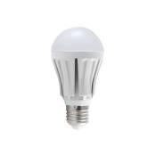 Lot de 5 Ampoules led E27 12W Éclairage 100W - Blanc