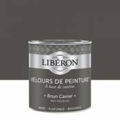 Peinture murs plafonds et boiseries Velours de peinture marron brun caviar Liberon 0 5L