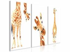Tableau - funny giraffes (3 parts)-60x30 A1-N8020