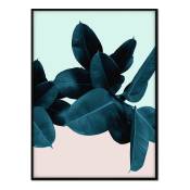 Affiche cadre noir - Ficus fond bleu et rose - 50x70