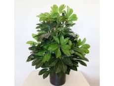 Ficus vert artificiel de 60 cm de haut avec pot