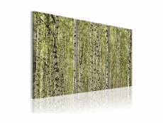 Tableau - forêt de bouleaux-60x40 A1-N1365-DK