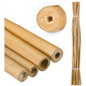 Tiges en bambou 150 cm, en bambou naturel, bâtons