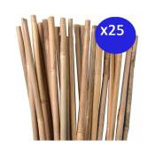 25 x Tuteur en Bambou 100 cm, 8-10 mm. Baguettes de