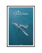 Affiche Animaux - La Baleine à bosse 30 x 40 cm
