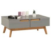 Idimex - Table basse tibor style scandinave design vintage nordique table de salon rectangulaire 2 tiroirs 2 niches en pin massif lasuré gris - Gris