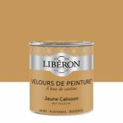 Peinture murs plafonds et boiseries Velours de peinture jaune calisson Liberon 0 5L