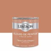 Peinture murs plafonds et boiseries Velours de peinture orange terre cuite d'anjou Liberon 0 5L