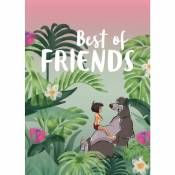 Poster Disney Le livre de la Jungle - Les meilleurs amis 30 cm x 40 cm