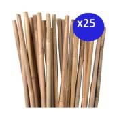 Tuteur en Bambou 100 cm, 8-10 mm (Pack 25). Baguettes