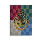 Aymax - Plaid polaire Harry Potter Blason de Poudlard Hogwarts - 100x140 cm
