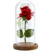 Beauty in led Glass Dome Forever Rouge Saint Valentin