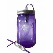 Lampe bocal en verre violet fil violet