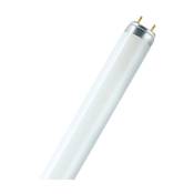 Ledvance - Lampe fluorescente t8 g13 38.10w 3500k -