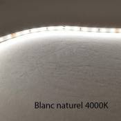 Ruban LED Blanc 60 LED/m 4,8W/m IP20 5m - Blanc Naturel 4000K