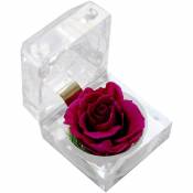 Tancyco - Véritable fleur de rose conservée dans une boîte transparente Rose éternelle parfumée Forever Rose Flower Cadeau pour femme Cadeaux Fête