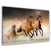Hxadeco - Tableau photo chevaux en plein galop - 80x50