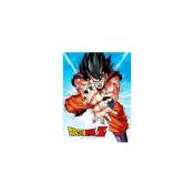 Sd Toys - Dragon Ball - Verre Print - Goku Kame - 30X40