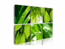 Tableau - feuilles vertes fraîches-60x40 A1-N1605