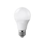Trade Shop Traesio - Ampoule Led E27 15 w Lumière Naturelle Chaude Et Froide Lampe Sphère A70-09 -blanc Chaud- - Blanc chaud