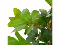 Icaverne - fleurs et plantes artificielles categorie plante artificielle avec pot laurier vert 120 cm