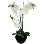 Orchidée artificielle vase céramique noir H53cm -