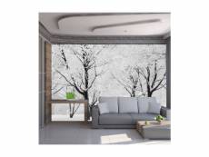 Papier peint arbres paysage d'hiver l 350 x h 270 cm