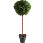 Plante artificielle haute gamme Spécial extérieur / Buis boule coloris vert - Dim : H.180 x D.80 cm