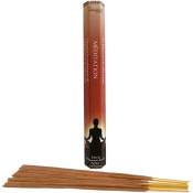Zen Et Ethnique - 20 bâtonnets d'encens aromatika méditation