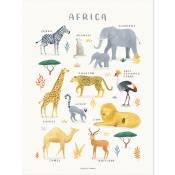 Affiche Animaux d'Afrique (30 x 40 cm)