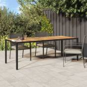 Vidaxl - Table de jardin Noir 250x100x75 cm Résine