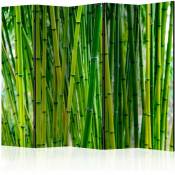 Artgeist - Paravent 5 Volets Motif Forêt de Bambous Zen et Élégant - Vert - Vert