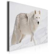 Hxadeco - Tableau design loup des neiges, 80x50cm -