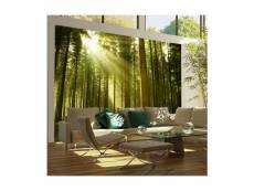 Papier peint forêt de pins 2 l 350 x h 270 cm A1-FTNT0089