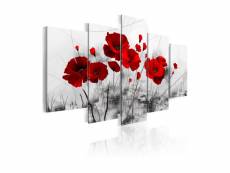 Tableau - coquelicots - rouge miracle-100x50 A1-N2631
