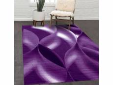 Tapis salon 120x170 supur violet oeko tex idéal pour
