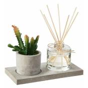 Coffret Senteur 4 pcs Plante avec Diffuseur - Cactus Silumen Vert|Transparent