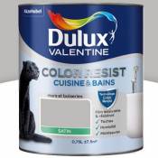 Peinture cuisine et salle de bains Dulux Valentine Color Resist béton gris satin 0 75L