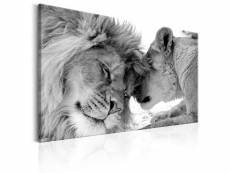 Tableau sur toile décoration murale image imprimée cadre en bois à suspendre l'amour du lion 60x40 cm 11_0002772