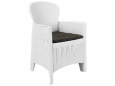 Vidaxl chaise de jardin 2 pcs et coussin blanc plastique aspect rotin 45598