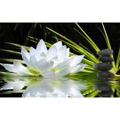 Affiche deco ambiance zen et fleur de lotus - 60x40cm