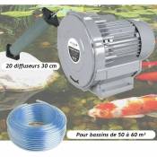Le Poisson Qui Jardine - Kit Pompe à Air Vortex Turbine 60000 l/h + 20 Diffuseurs 30 cm Pour Bassins De Jardin