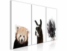 Tableau friendly animals collection taille 60 x 30