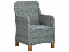Vidaxl chaises de jardin avec coussins 2 pcs résine tressée gris clair